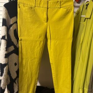 New York & Company Yellow Trousers